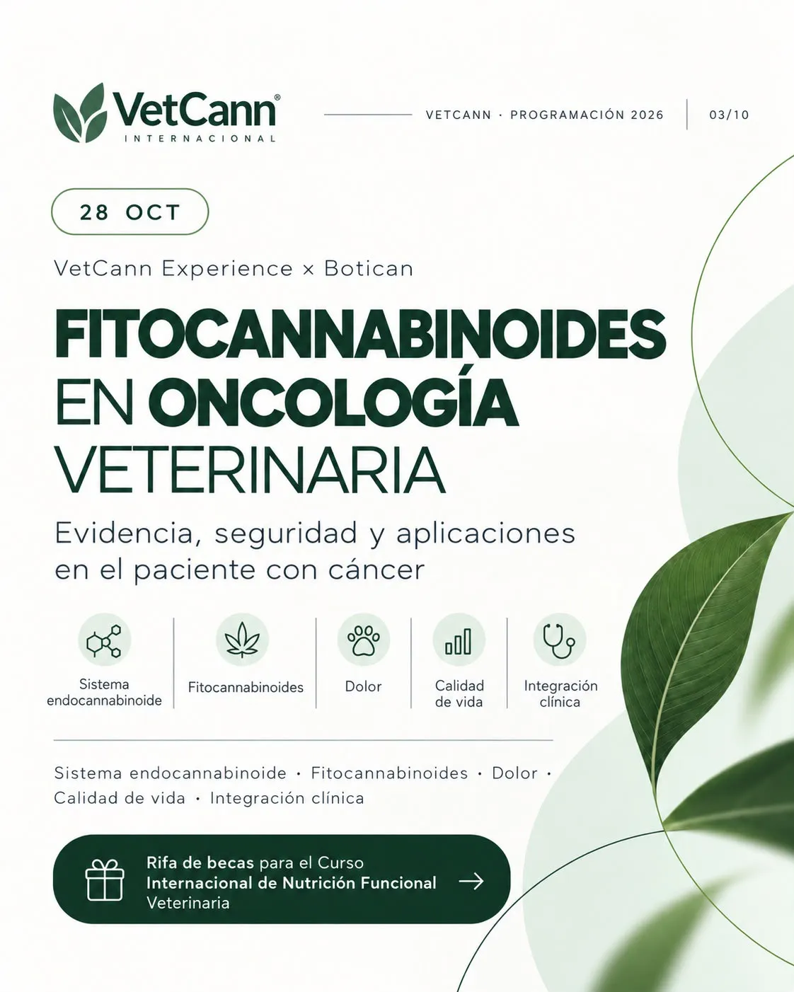 Imagen Galería