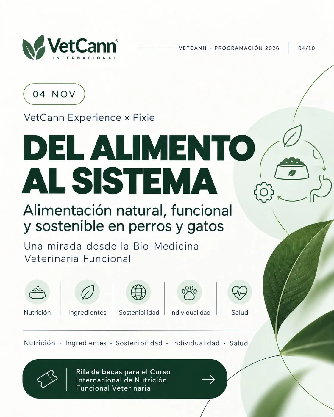 Imagen Galería