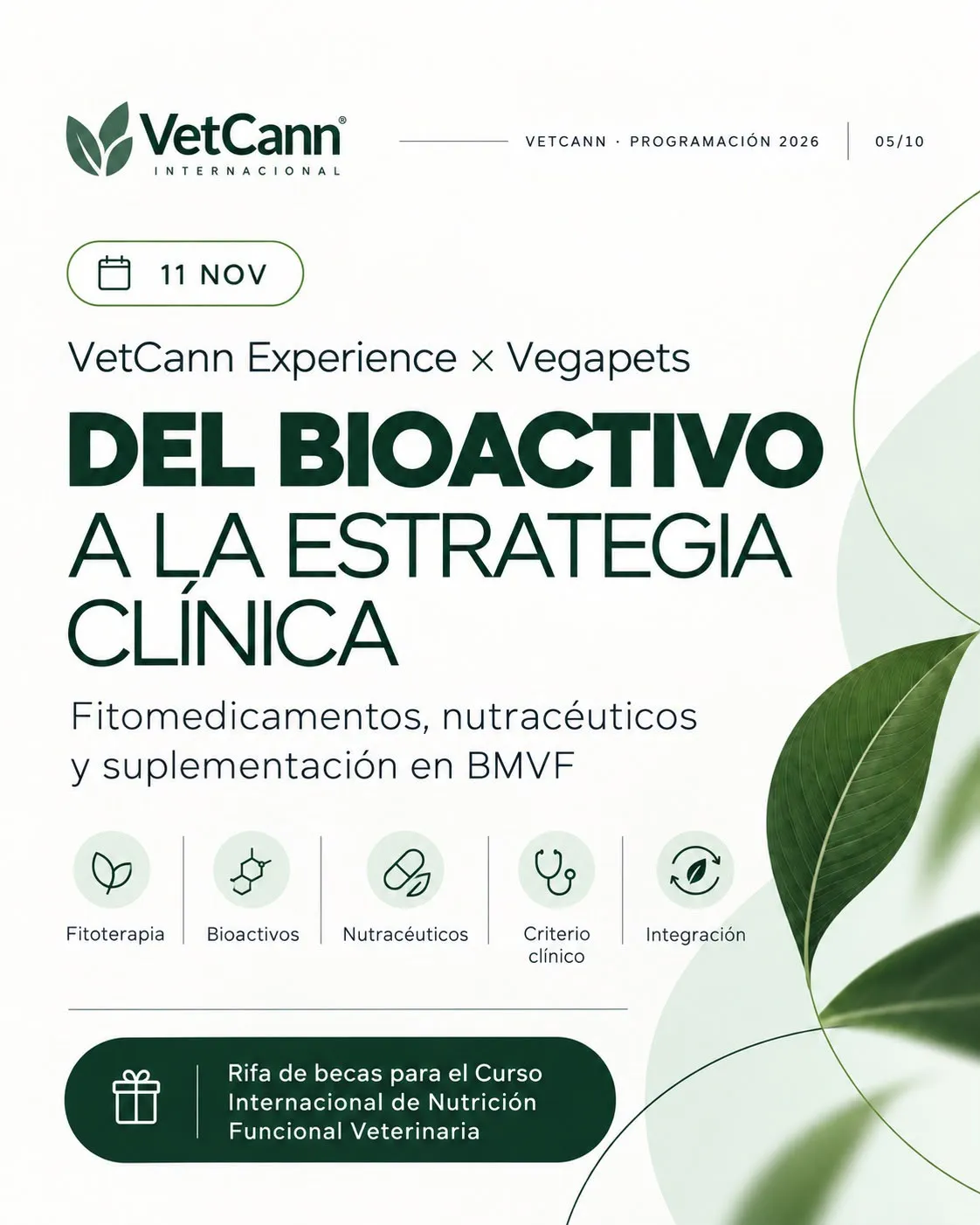Imagen Galería