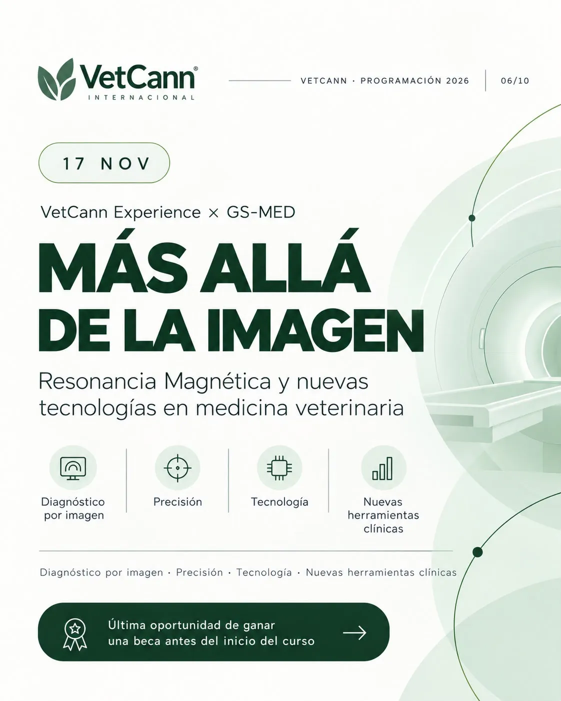 Imagen Galería