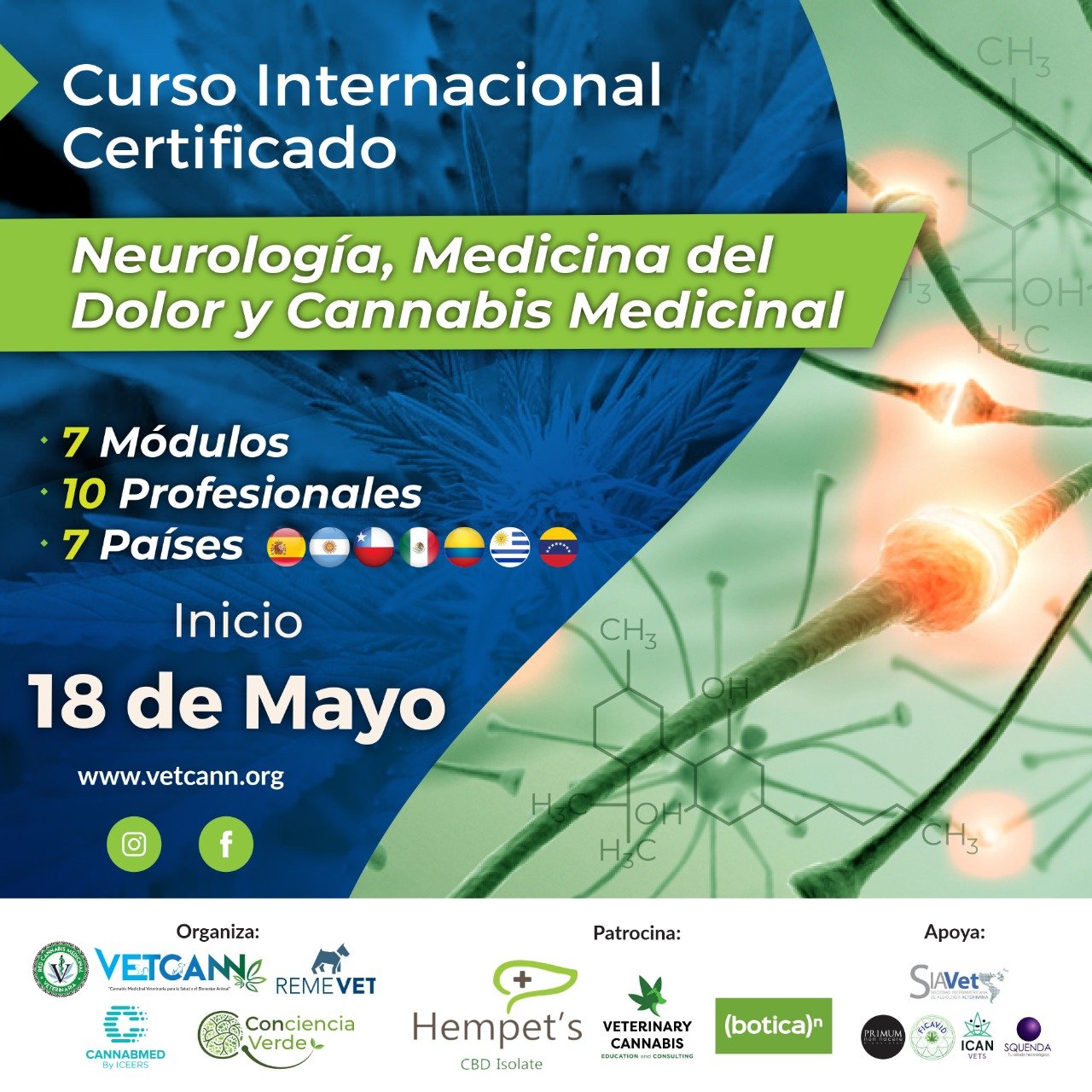 Curso Neurología