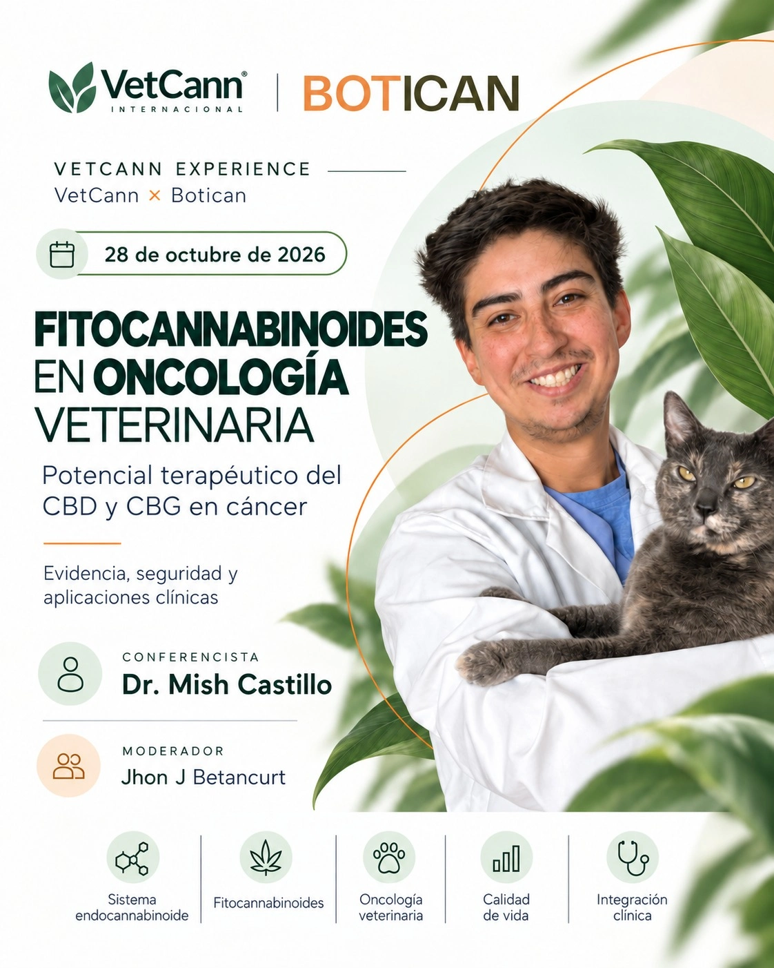 Curso