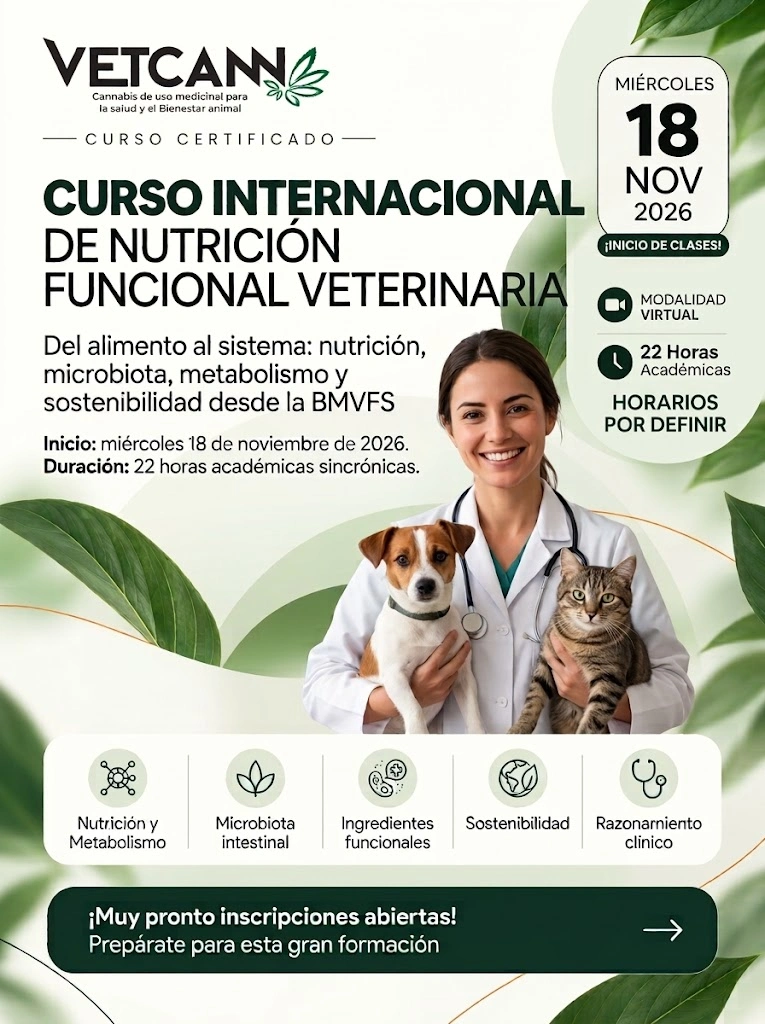 Curso